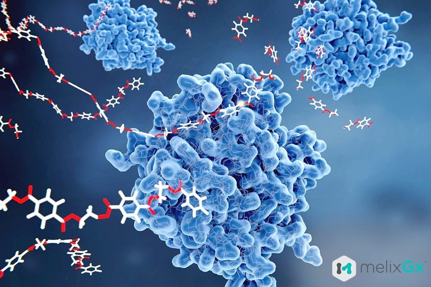 Endocannabinoid System and Its Relationship with Cannabis