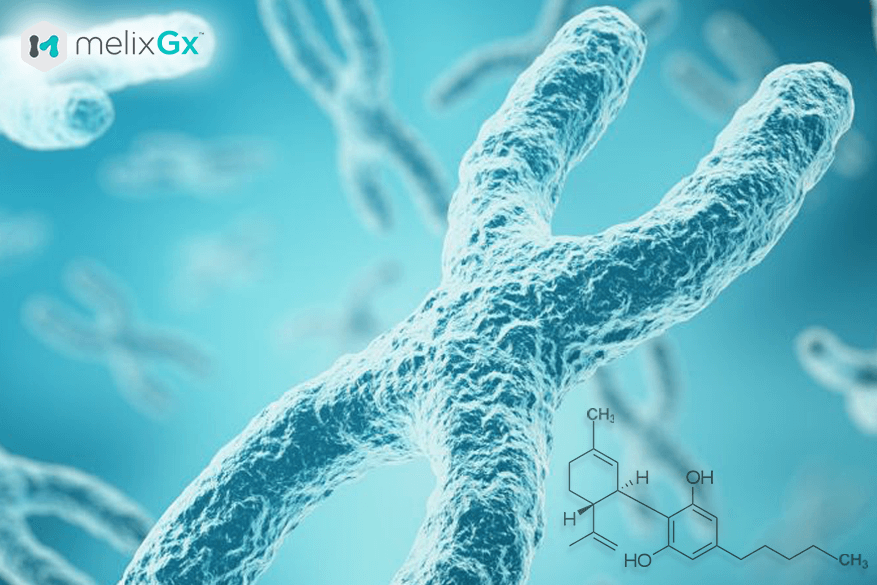 genes control reaction to cannabis