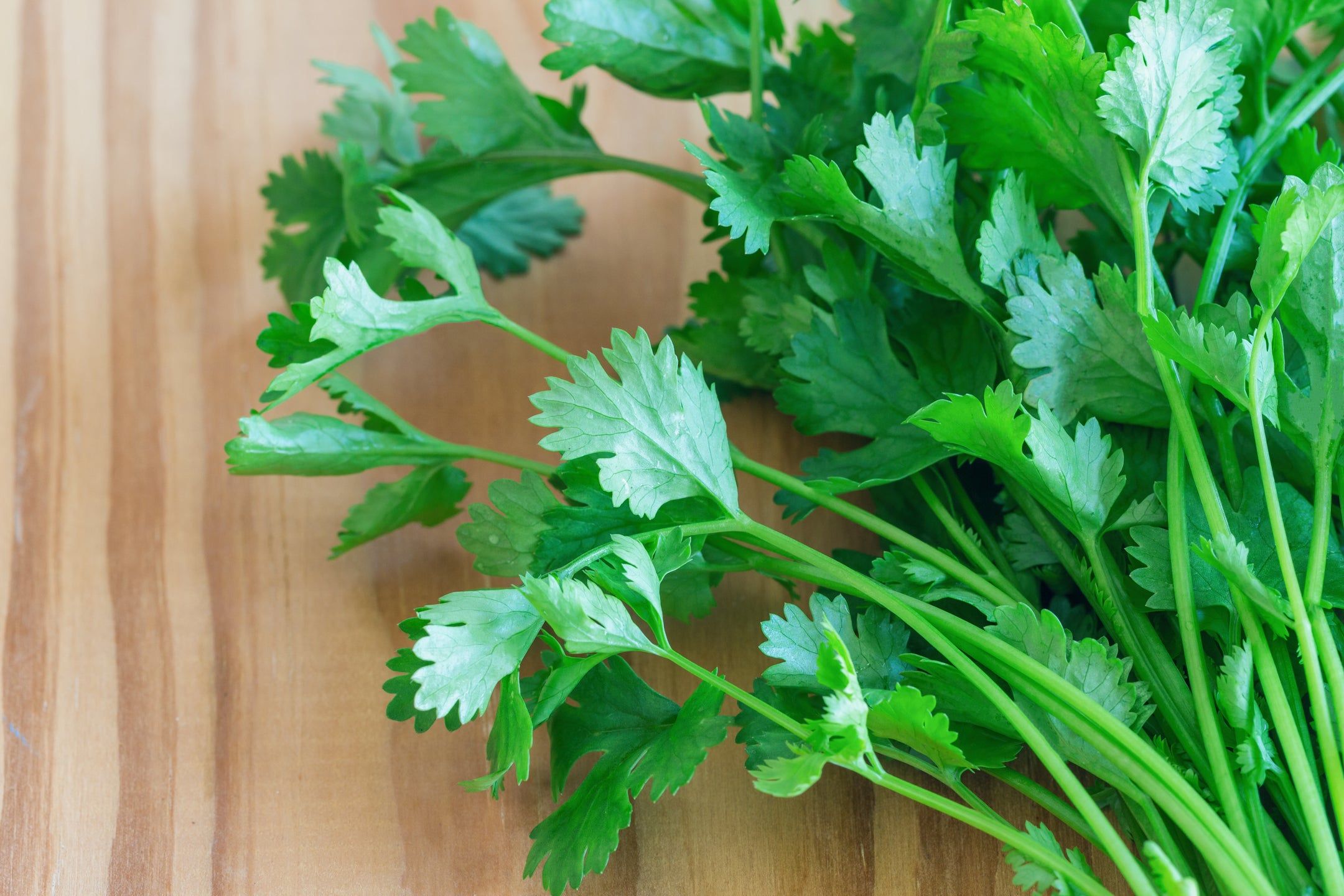 Cilantro Tastes Like Soap To ⅓ of the Population. Here’s Why.